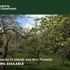 New Community Orchard and Mini Forest Funding